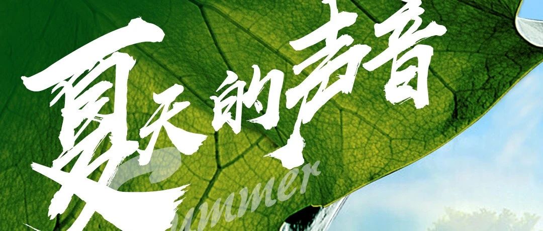 夏至与淮海感受阳光气息